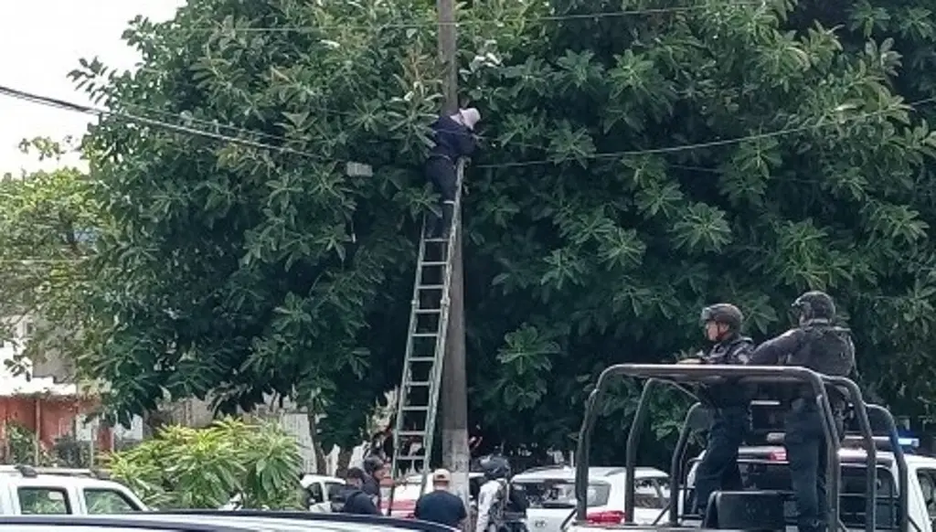 Retiran red de cámaras de vigilancia ilegales en Xalapa